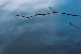 De druppel van Els Hunink