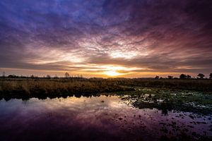 De Groote Peel