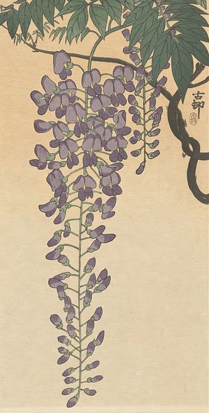 Ohara Koson - Flowering wisteria (edited) by Peter Balan