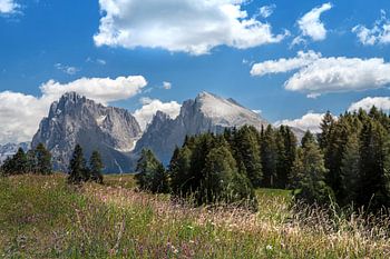 Südtirol Seiser Alm Plattkofel Langkofel