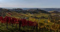 Stuttgarter Herbst