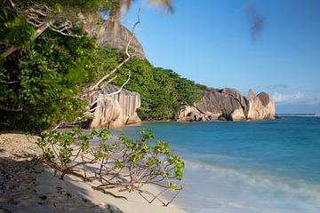 Anse Source d'Argent (La Digue / Seychellen) van t.ART