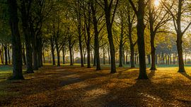 schöner sonniger Tag im Herbst von mtalent photographyandmore