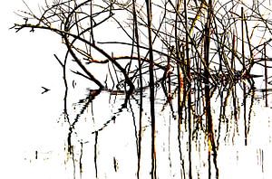Des roseaux dans le polder sur Yvonne van Dormolen