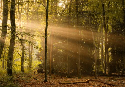 Duno landgoed part 23