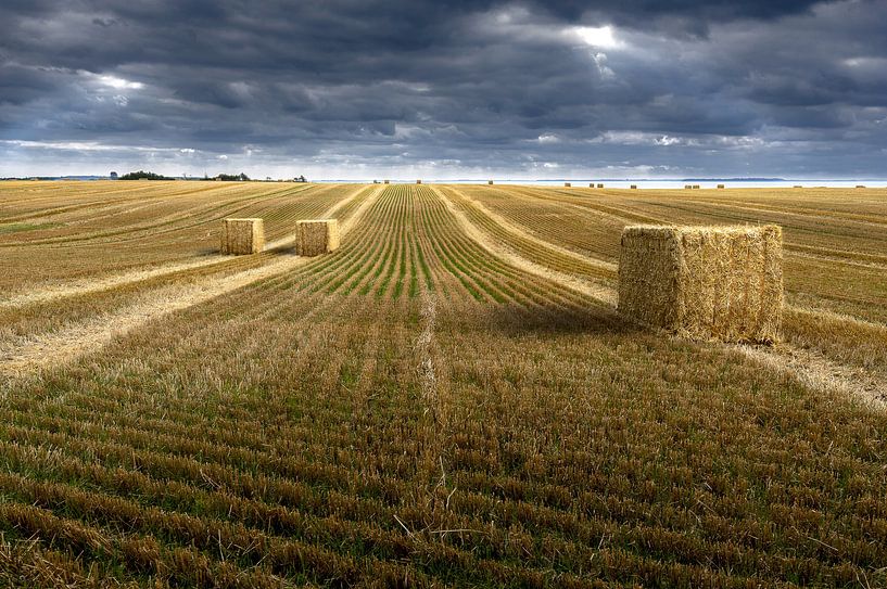 Grasfeld von Dänemark von YesItsRobin