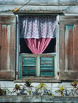 Karakteristiek venster in Paramaribo van Natuurpracht   Kees Doornenbal