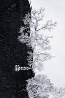 Seeufer im Schneesturm