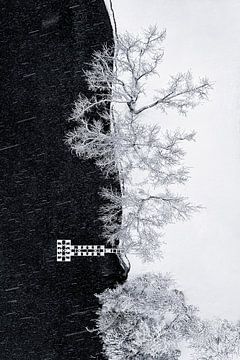 Lake Shore onder sneeuwstorm, Mei Xu van 1x