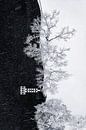 Lake Shore onder sneeuwstorm, Mei Xu van 1x thumbnail