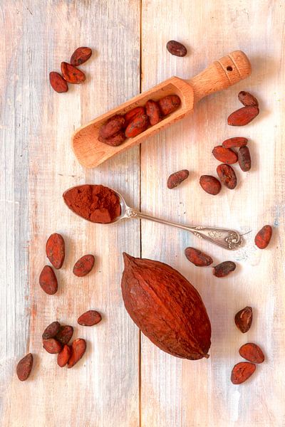 Cacao par Thomas Jäger