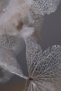 die Natur ist zerbrechlich 