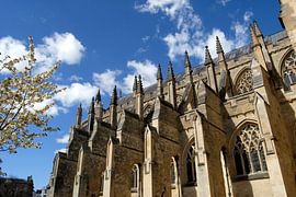 Exeter cathedral by Richard Wareham
