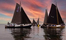 Sailing Bottles by Brian Morgan