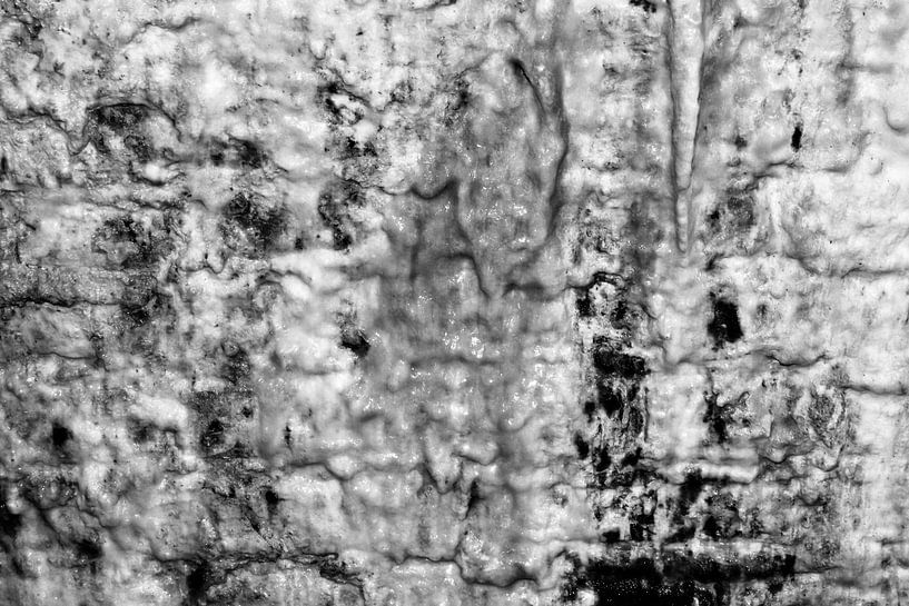 Sidney der Graf von Sidney Graf