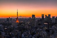 TOKYO 01