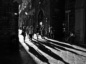 Chasing the shadow by Emil Golshani thumbnail