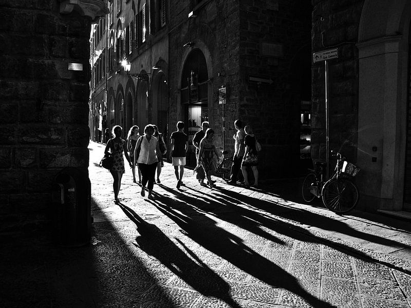 Chasing the shadow by Emil Golshani