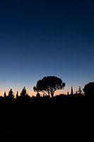 Mystical Summer Sunset in France