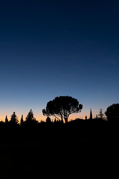 Mystical Summer Sunset in France" by Tom Clark