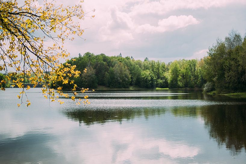 More at rest by Patrycja Polechonska