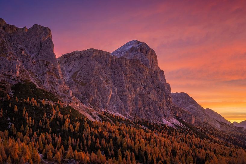 Explosion der Farben von Martin Podt