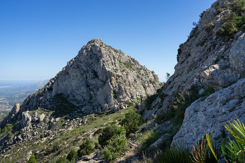 Cavall Verd et paysage de montagne verdoyant par Adriana Mueller