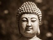 Boeddha, Boedha van Leo Langen thumbnail