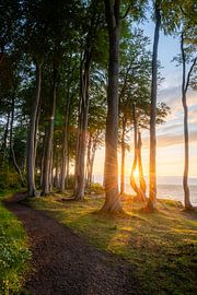 Guardians of the Baltic Sea