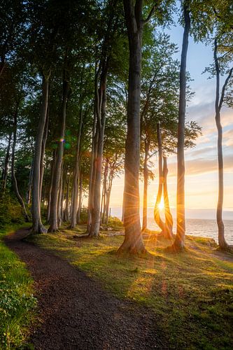 Gardien de la mer Baltique sur Christian Möller Jork