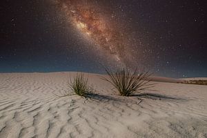 Weißer Sand New Mexico mit der Milchstraße