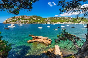 Port de Andratx, Mallorca island, Spain by Alex Winter