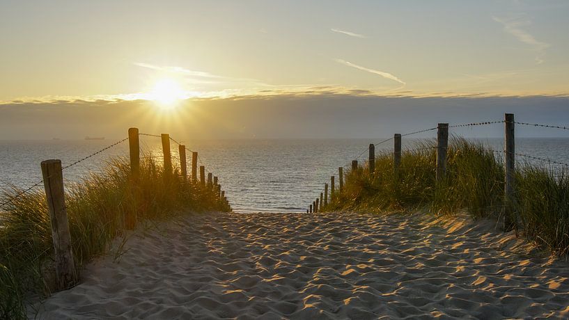 Dune, beach and sea by Dirk van Egmond