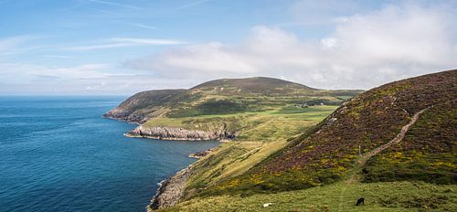 Zicht op de rotskust op The Wales Coast Path, fotoprint