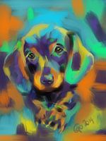 Dog Bobby