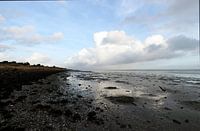 Das Wattenmeer