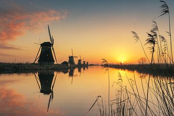 Sonnenaufgang am Kinderdijk von Antoine van de Laar