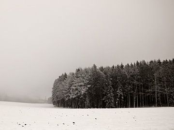 Winterscape van Lena Weisbek