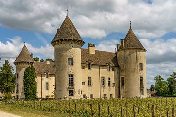 Kasteel van Savigny-lès-Beaune. van Jaap van den Berg