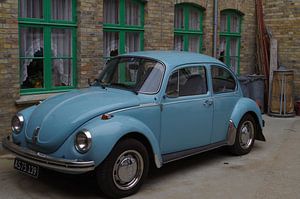 Scarabée bleu I