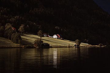 Where the light falls. by Rebecca Gruppen