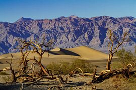 Mesquite Flat Dunes in Death Valley by Easycopters