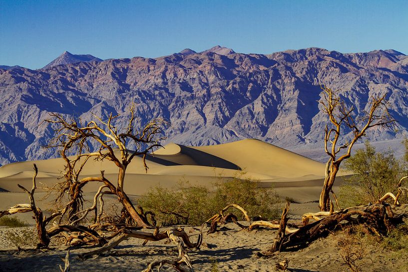 Mesquite Flat Dunes im Death Valley von Easycopters