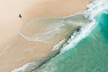 Vissen aan zee van Wahid Fayumzadah