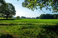 Landschaft am "Bergherbos"