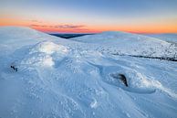 The snowy mountains of Pallas-Yllästunturi (Finland) by Martijn Smeets thumbnail