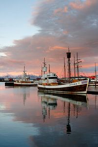 Morgenlicht in Husavik
