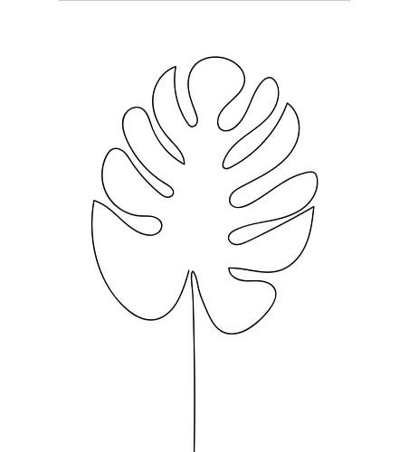 Line art Monstera Leaf Gatenplant