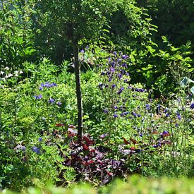 Zomaar prachtige tuinen by lendyfotografie.werkaandemuur,nl