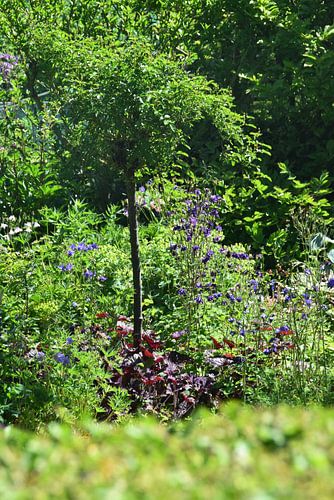 Zomaar prachtige tuinen